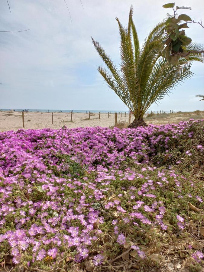 Friendly Bella Casa Sagunto